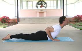 Yoga Supports Hormonal Balance